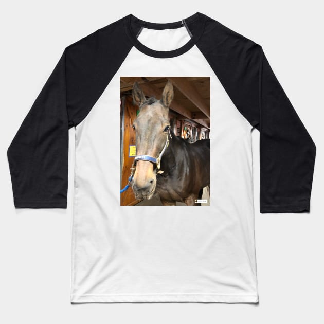 Runner Baseball T-Shirt by SunshineHorses